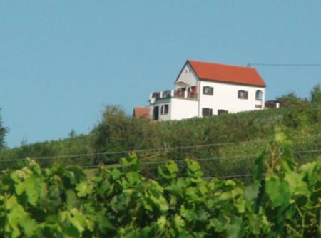 Kellerstoeckl Eisenberg/Pinka Weiner Villa Eisenberg an der Pinka Ngoại thất bức ảnh